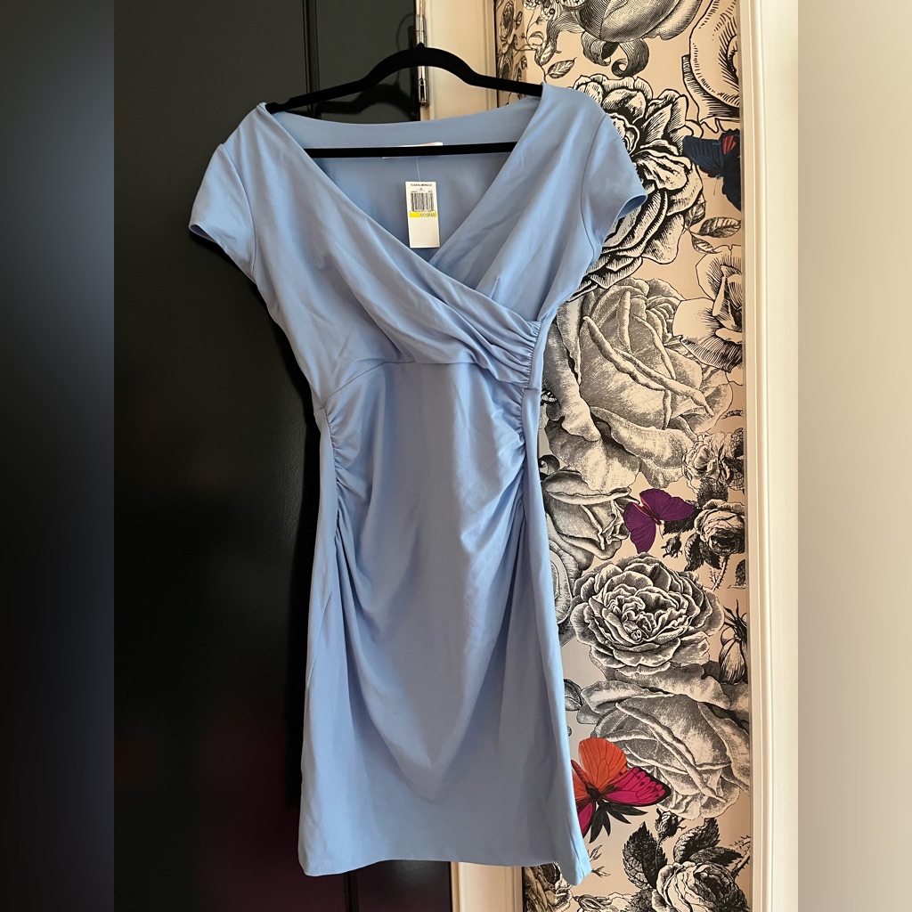 Brand New Susana Monaco Bodycon Dress Brand New Susana Monaco Bodycon Dress